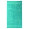 Droomtextiel Beach Strandlaken - 100x200 cm - Sea Green